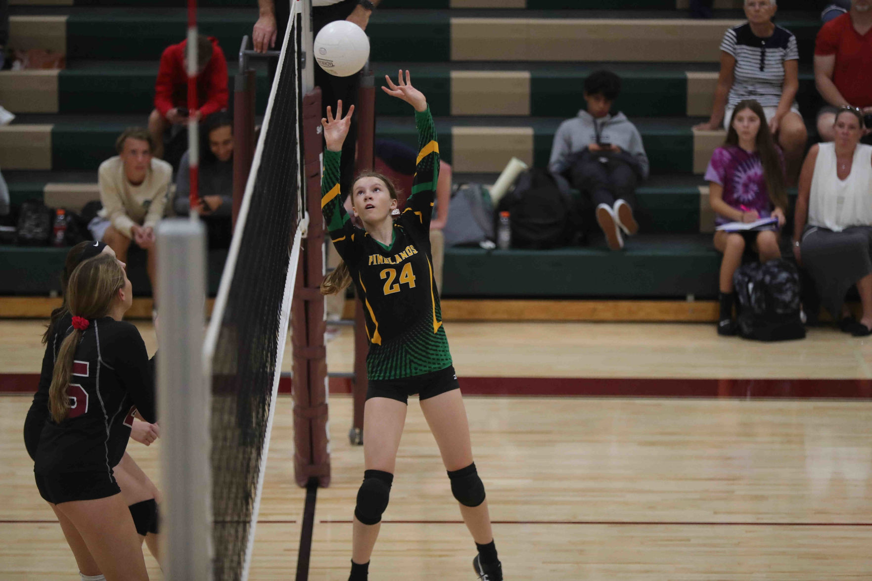 Cedar Creek vs Pinelands Volleyball